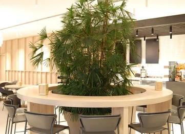 Santuario Adro Impronte Design 00012